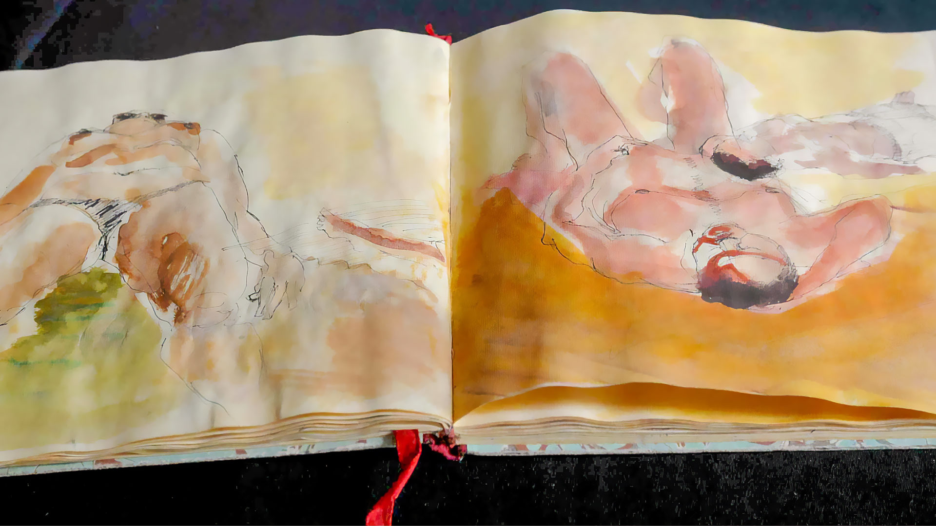 Désirée de Montebello notebooks